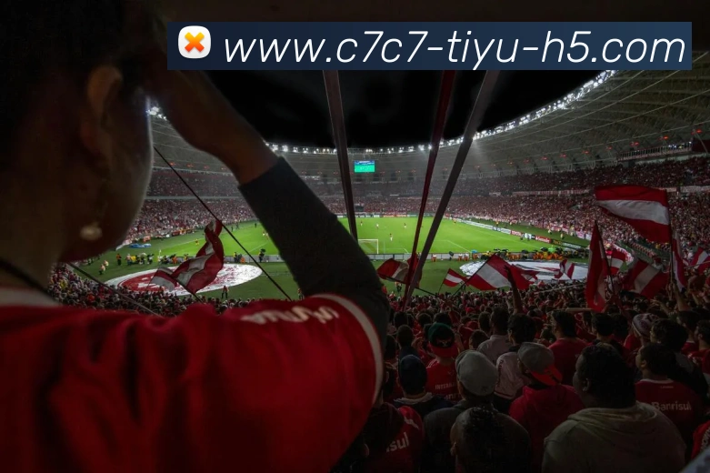 C7C7娱乐APP 封面图