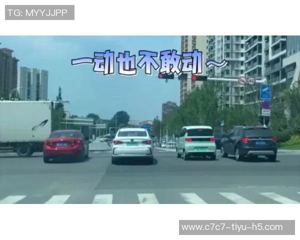 三球闯红灯引发热议网友调侃马路是我家交规算什么